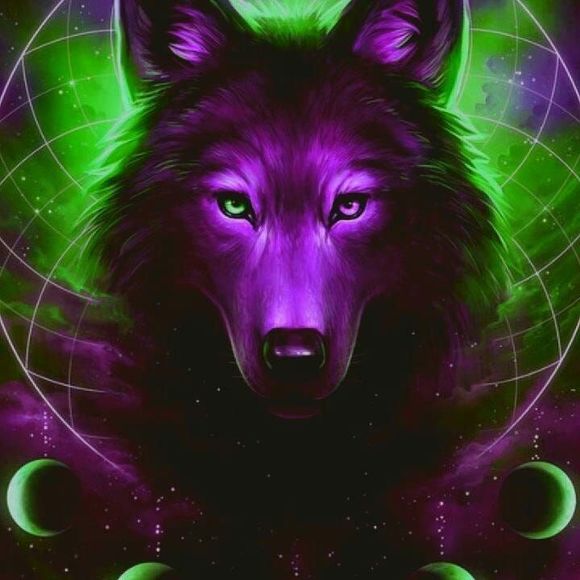 Meet your Posher, Laura - Picture 1 of 1